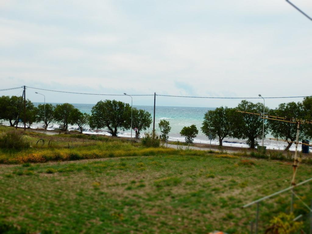 Ta Kalamakia Apartments วาเตรา ภายนอก รูปภาพ